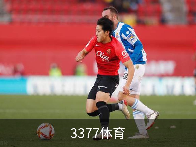 3377体育介绍